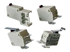 V19 MICRO SWITCH