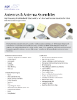 API Technologies Antennas and Antenna Assemblies 