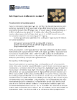 Knowles Capacitors Gain Slope issues in Microwave modules? PDF Thumbnail 