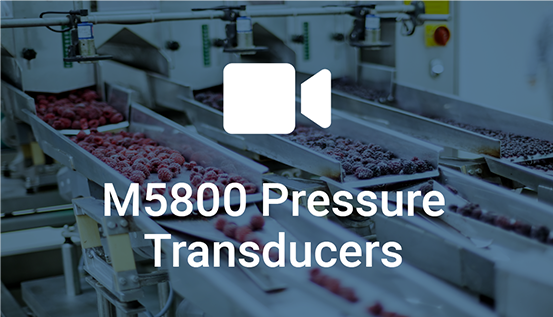 M5800 Video