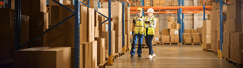 Two Humans Looking at Inventory Stock in a Warehouse