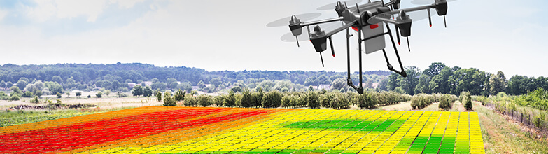 Drone Flying Over a Field