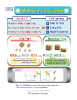 Chemi-Con MLCC PDF Cover