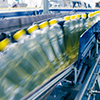 Food Processing