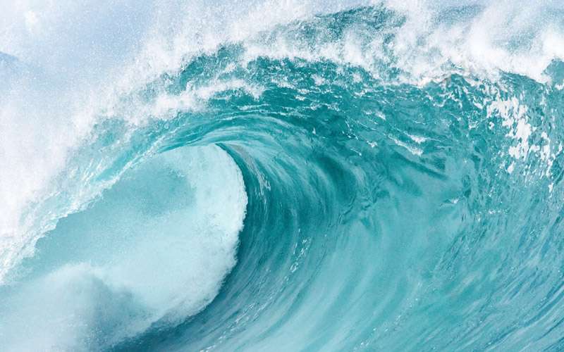 A curling sea wave crashing onto the water